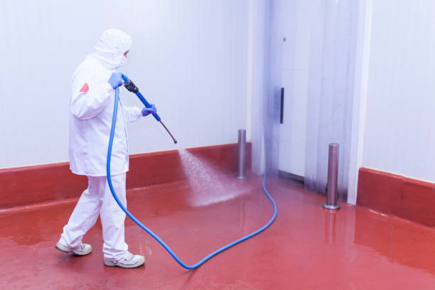 Best Pool Deck Cleaning  in Ivey, GA